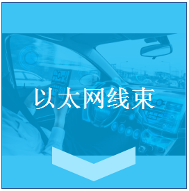 Ethernet Cable Assembly (以太网线束) 产品方案